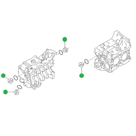 ENGINE BLOCK CASE BLANKING PLUG KIT 