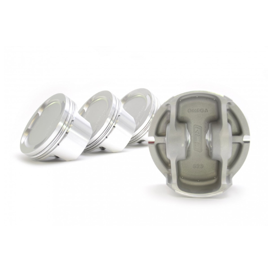 RCM / OMEGA PISTON SET