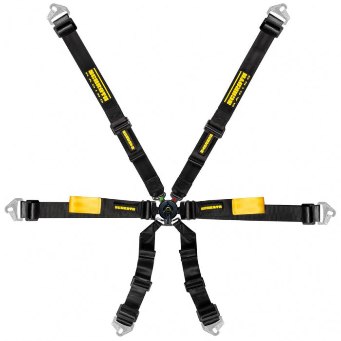 Schroth Enduro Harness 2x2