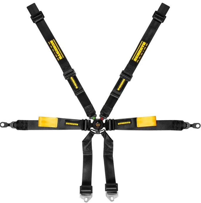 Schroth Porsche Enduro 2x2 Harness