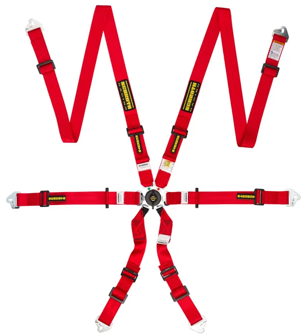 Schroth Profi 2x2 Harness