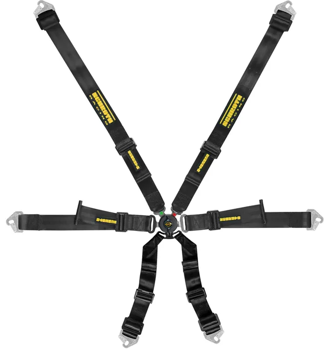 Schroth Profi 2x2 Harness
